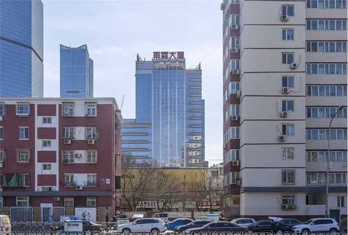 安徽垂直绿化黑绵土吧