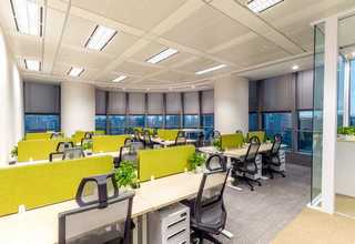 邢台自动辣椒机械制造