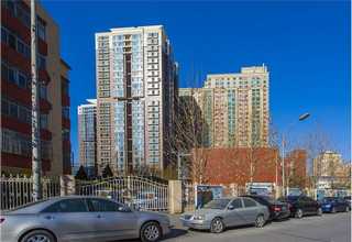 辽宁植物透气乳代理费