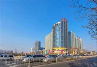 0基础美人鱼潜水课程哪家好